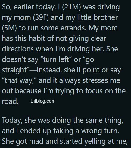 AITA for pulling over and kicking my mom out of the car after she slapped me while I was driving?