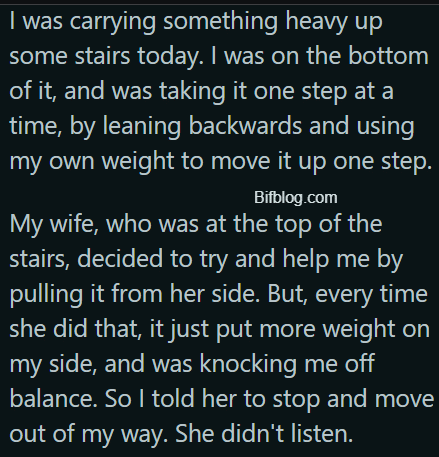 AITAH for yelling at my wife when she was trying to be helpful, but was just making things more difficult for me, and didn't listen the first two times I told her just to back away?