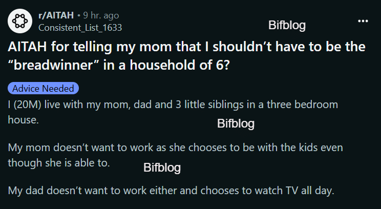 AITAH for telling my mom that I shouldn’t have to be the “breadwinner” in a household of 6?